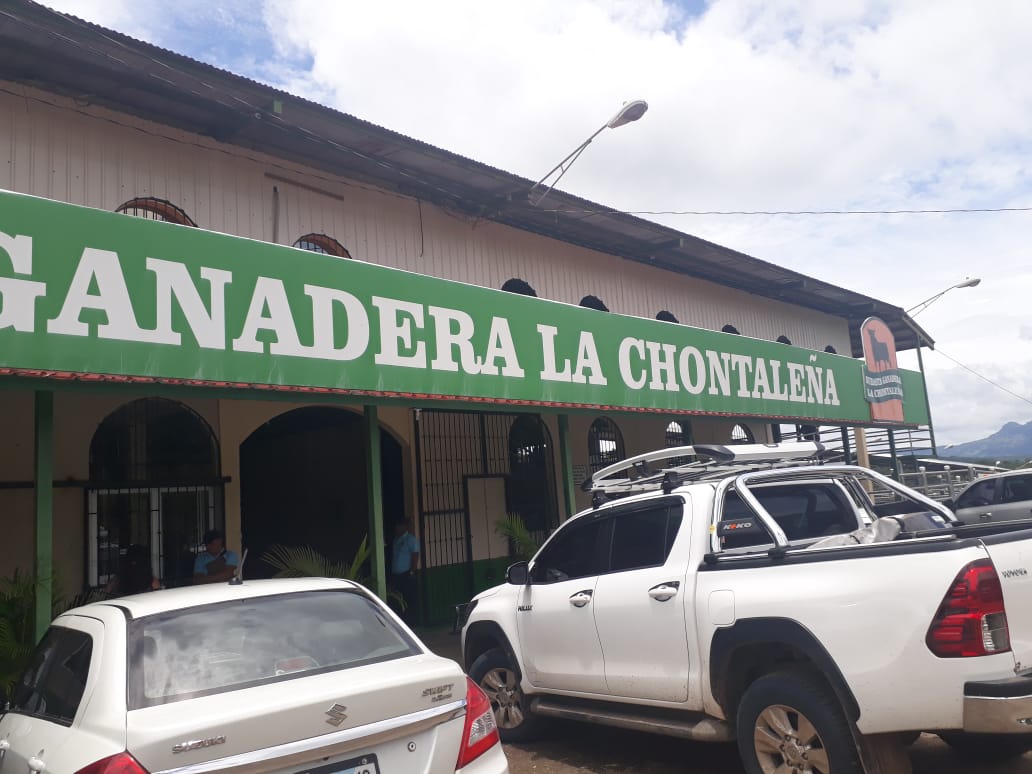 subasta2